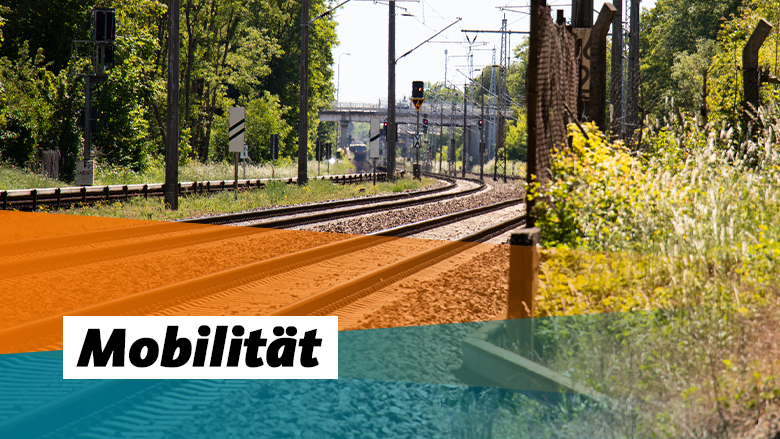 mobilitat_website_780x439.png mobilitat_website_780x439.png