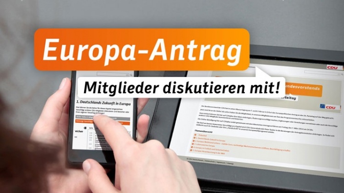 Europaantrag Seite
