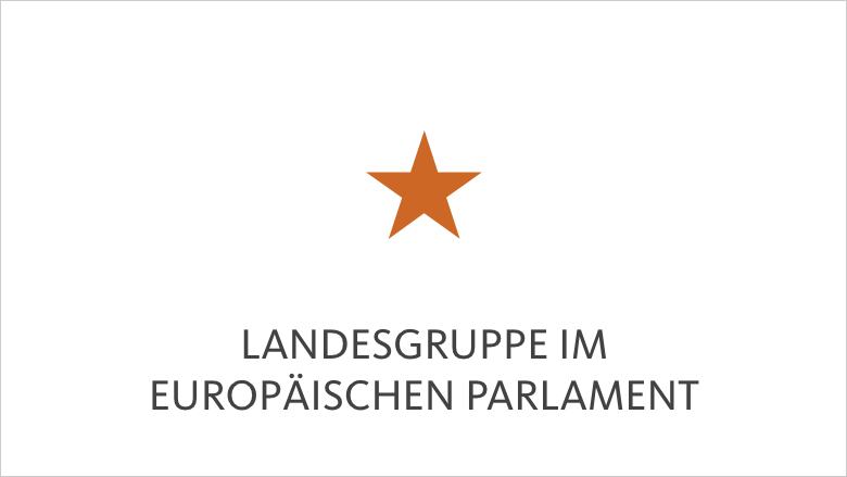 Landesgruppe im Europäischen Parlament